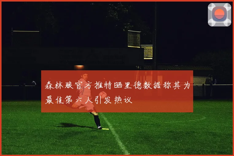 森林狼官方推特晒里德数据称其为最佳第六人引发热议
